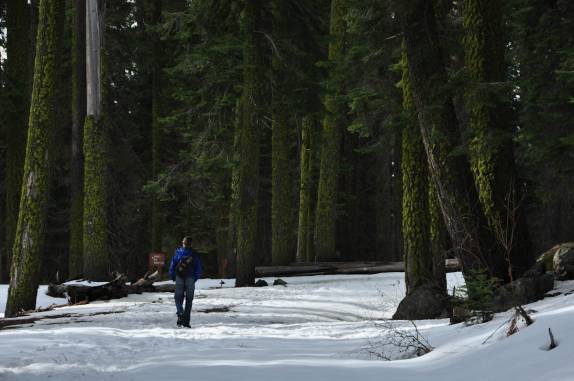 Caminhando na neve no Sequoia National Park, na Califórnia - EUA